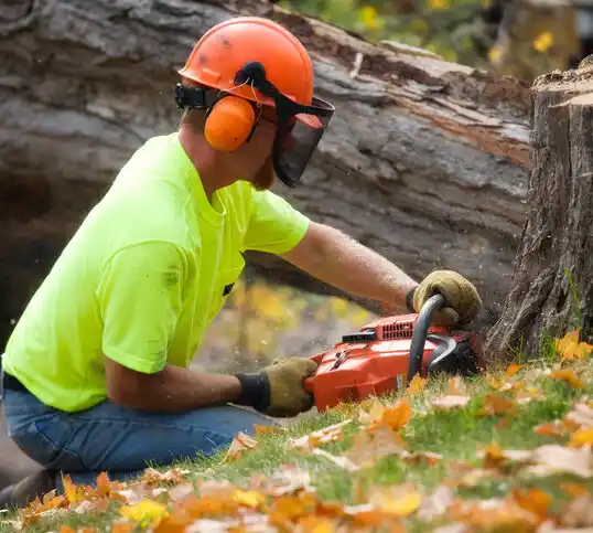 tree services Central City